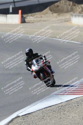 media/Aug-31-2024-TrackDaz (Sat) [[d39206e9d9]]/A Group/10a (Turn 3)/